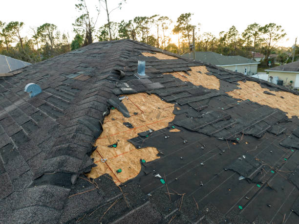 Best Roof Maintenance and Cleaning  in Medina, WA